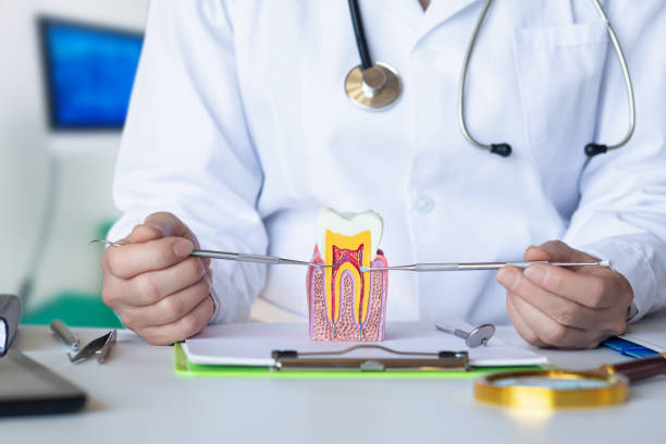 Best Emergency Root Canal Treatment in Pine Mountain Clu, CA